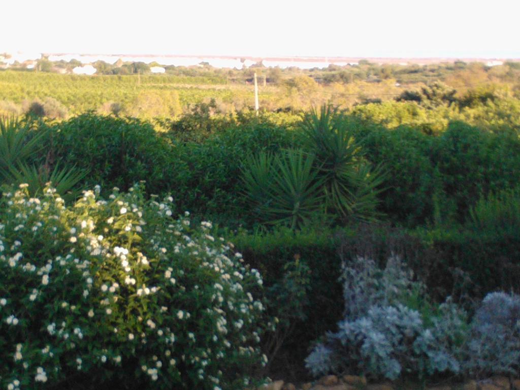 Quinta Da Moura Casa-De-Campo Pensionat Tavira Exteriör bild