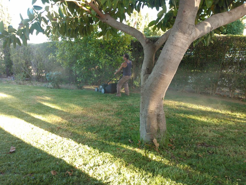 Quinta Da Moura Casa-De-Campo Pensionat Tavira Exteriör bild