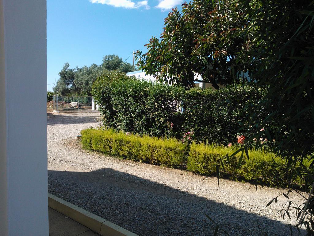 Quinta Da Moura Casa-De-Campo Pensionat Tavira Exteriör bild