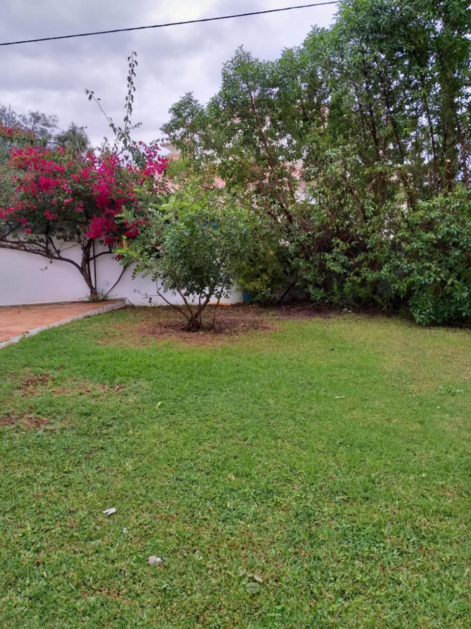 Quinta Da Moura Casa-De-Campo Pensionat Tavira Exteriör bild