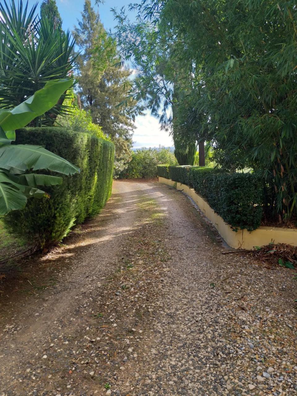 Quinta Da Moura Casa-De-Campo Pensionat Tavira Exteriör bild