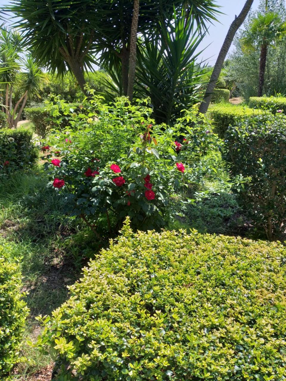 Quinta Da Moura Casa-De-Campo Pensionat Tavira Exteriör bild