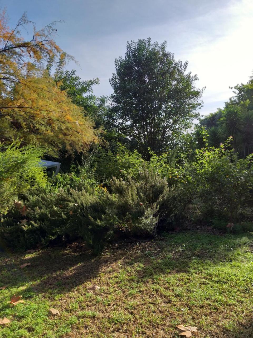 Quinta Da Moura Casa-De-Campo Pensionat Tavira Exteriör bild